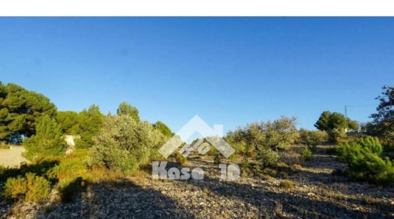 Alicante - Castalla - 16000m2