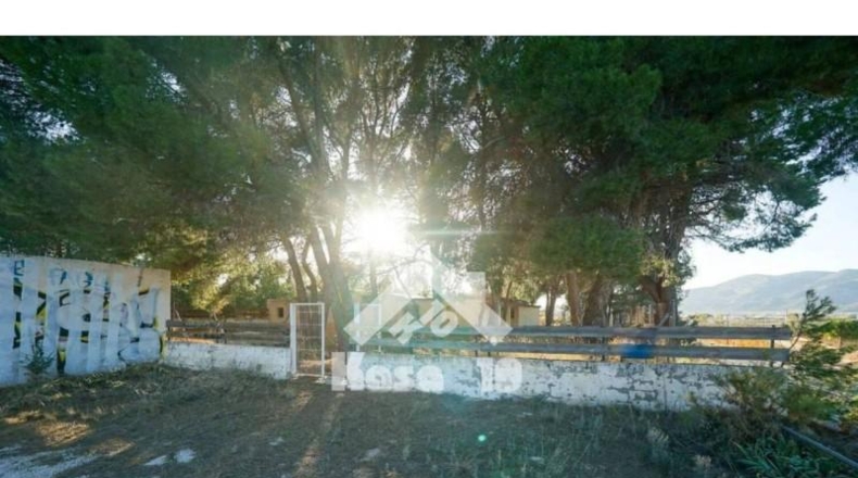 Alicante - Castalla - 16000m2