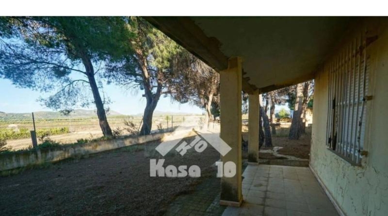 Alicante - Castalla - 16000m2