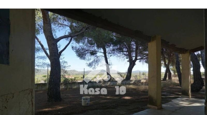 Alicante - Castalla - 16000m2