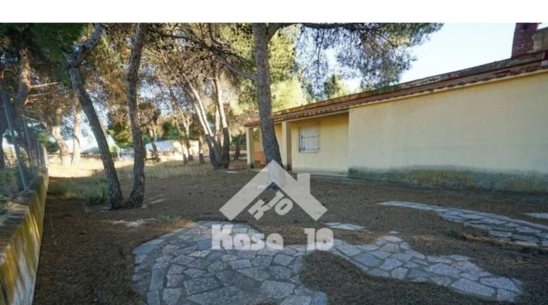 Alicante - Castalla - 16000m2