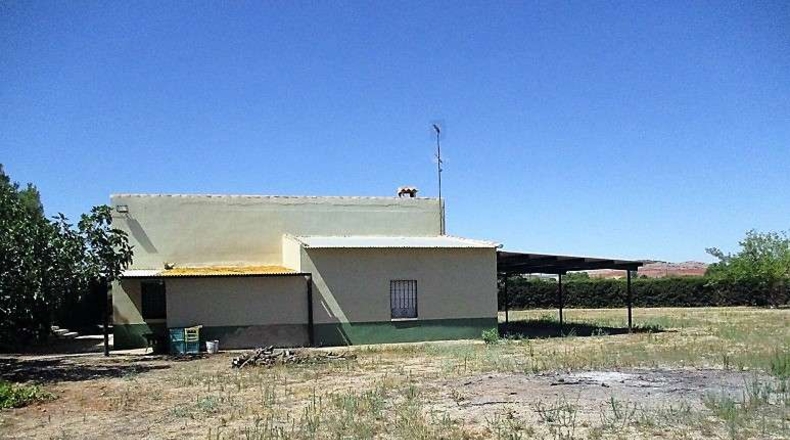 Ciudad Real - Valdepeñas - 20000m2