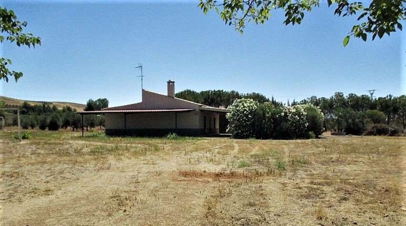 Ciudad Real - Valdepeñas - 20000m2