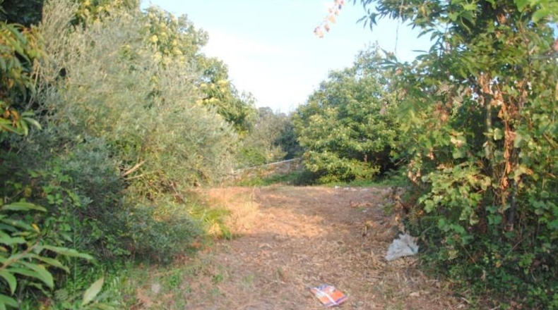 Pontevedra - Meaño - 985m2
