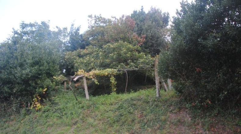 Pontevedra - Meaño - 985m2