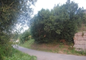 Land suitable for development for sale on España, As Covas, ref: TR113198 photo