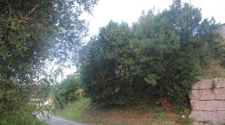 Pontevedra - Meaño - 985m2