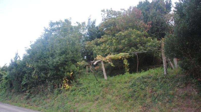 Pontevedra - Meaño - 985m2