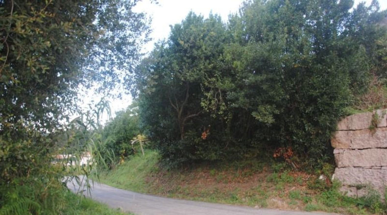 Pontevedra - Meaño - 985m2