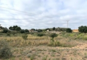 Terreny no urbanitzable en venda a la España, Elx, ref.: TR113219 foto