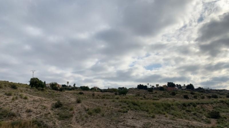 Alicante - Elche - 37000m2