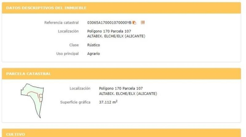 Alicante - Elche - 37000m2