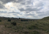 Terreny no urbanitzable en venda a la España, Elx, ref.: TR113219 foto