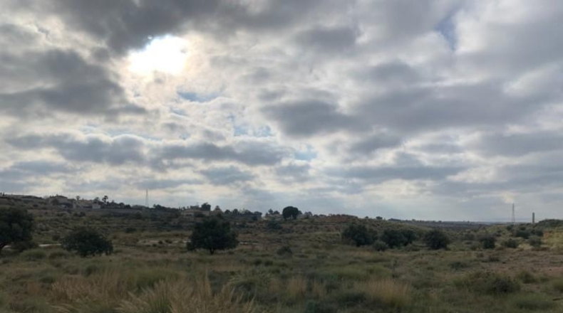 Alicante - Elche - 37000m2