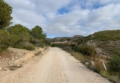 Terreny no urbanitzable en venda a la España, Elx, ref.: TR113219 foto