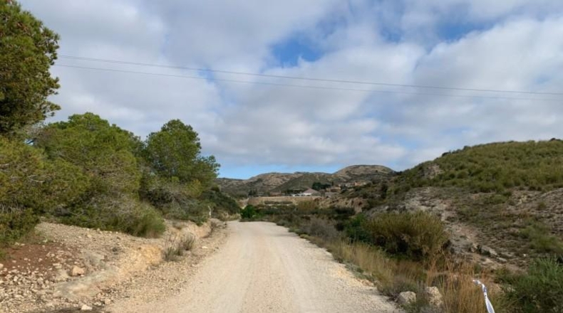 Alicante - Elche - 37000m2