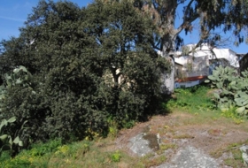Valencia de Alcántara 450&nbsp;m²