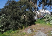 Urban land for sale on España, Valencia de Alcántara, ref: TR113755 photo