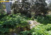 Urban land for sale on España, Valencia de Alcántara, ref: TR113755 photo