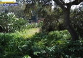 Urban land for sale on España, Valencia de Alcántara, ref: TR113755 photo