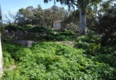 Urban land for sale on España, Valencia de Alcántara, ref: TR113755 photo