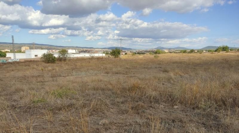 Albacete - Almansa - 600m2
