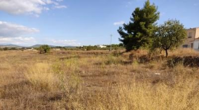 Albacete - Almansa - 600m2