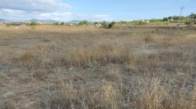 Albacete - Almansa - 600m2
