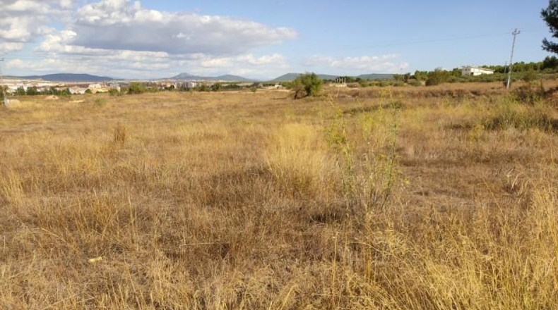 Albacete - Almansa - 600m2