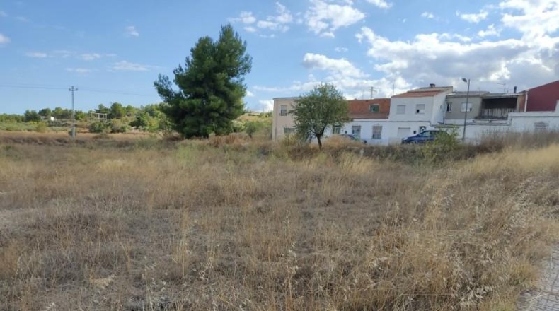 Albacete - Almansa - 600m2