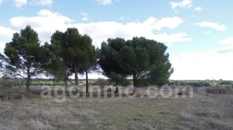 Valladolid - Boecillo - 8000m2