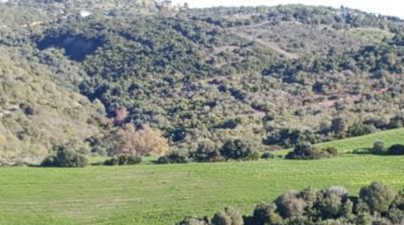 Cádiz - Vejer de la Frontera - 28000m2