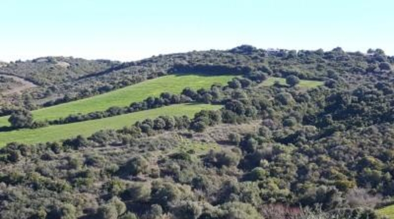 Cádiz - Vejer de la Frontera - 28000m2