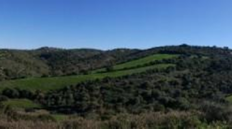 Cádiz - Vejer de la Frontera - 28000m2