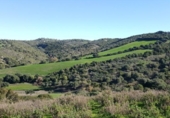 Terreny no urbanitzable en venda a la España, Vejer de la Frontera, ref.: TR114192 foto