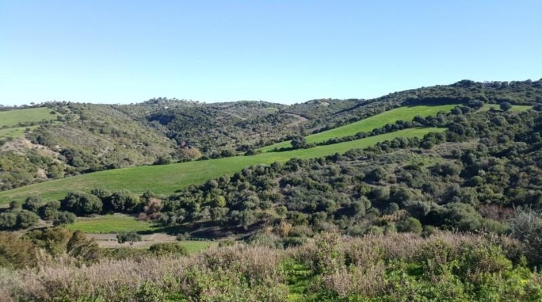 Cádiz - Vejer de la Frontera - 28000m2