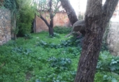 Земля, подлежащая урбанизации на продажу у города Olesa de Montserrat Фото