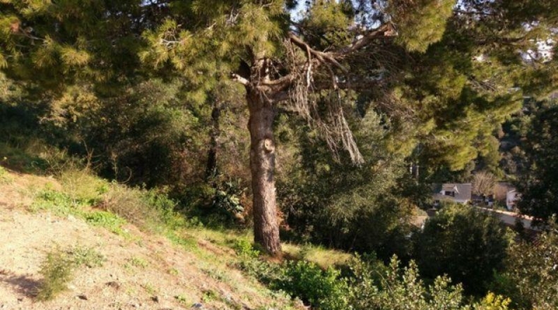 Barcelona - Santa Susanna - 627m2