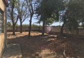 Xalet independent amb terreny en venda a la España, Carmona, ref.: TR147829 foto