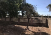 Xalet independent amb terreny en venda a la España, Carmona, ref.: TR147829 foto