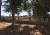 Xalet independent amb terreny en venda a la España, Carmona, ref.: TR147829 foto