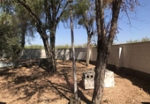 Xalet independent amb terreny en venda a la España, Carmona, ref.: TR147829 foto