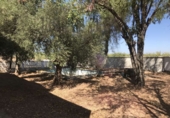 Xalet independent amb terreny en venda a la España, Carmona, ref.: TR147829 foto