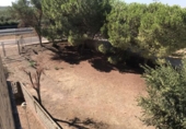 Xalet independent amb terreny en venda a la España, Carmona, ref.: TR147829 foto