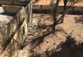 Xalet independent amb terreny en venda a la España, Carmona, ref.: TR147829 foto