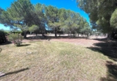 Casa de camp amb terreny en venda a la España, Calvarrasa de Arriba, ref.: TR148040 foto