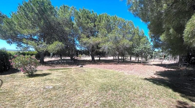 Salamanca - Calvarrasa de Arriba - 10000m2