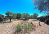 Casa de camp amb terreny en venda a la España, Calvarrasa de Arriba, ref.: TR148040 foto