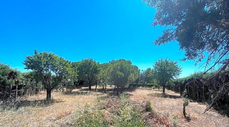 Salamanca - Calvarrasa de Arriba - 10000m2