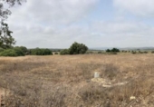 Terreny no urbanitzable en venda a la España, Vejer de la Frontera, ref.: TR123257 foto